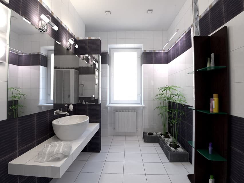 15 Black and White Bathroom Ideas (Design Pictures ...