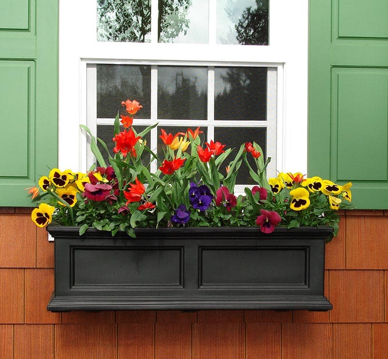 37 Window Flower Boxes (with Pictures)