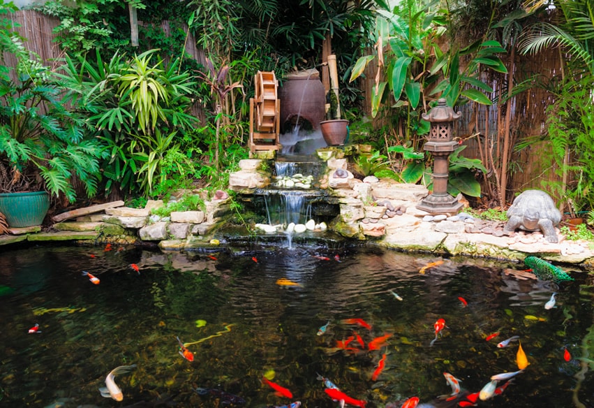 Asian garden with decorative koi pond