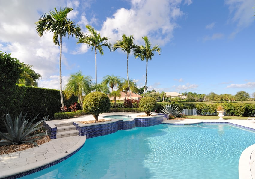 Backyard pool and spa with palm trees