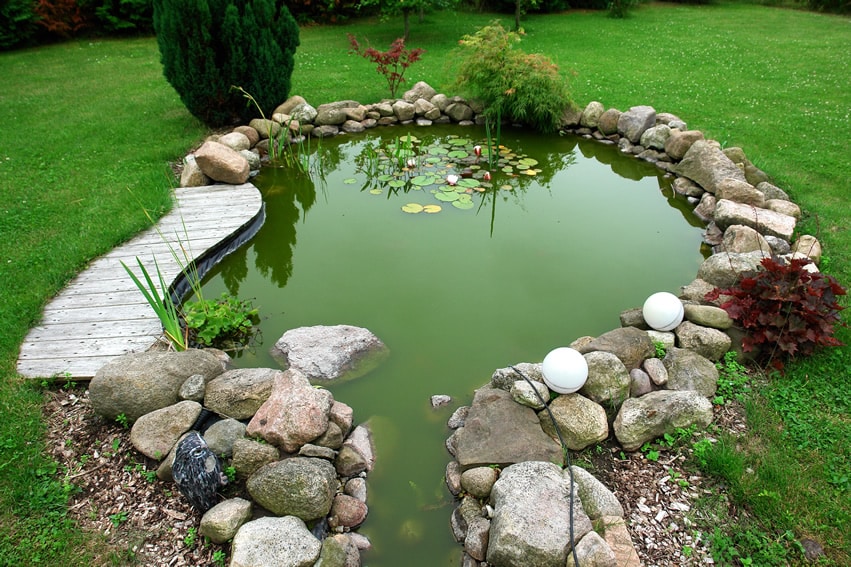 Backyard rock pond with lily pads