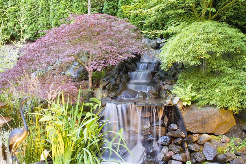 Beautiful asian inspired garden with staggered waterfall