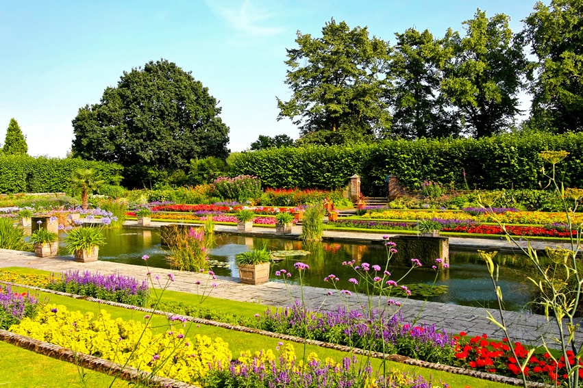 Beautiful manicured garden with rectangular pond