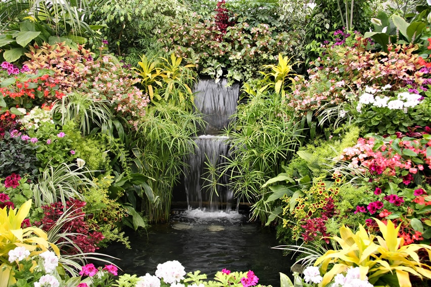 Beautiful lush garden with waterfall and small wild pond