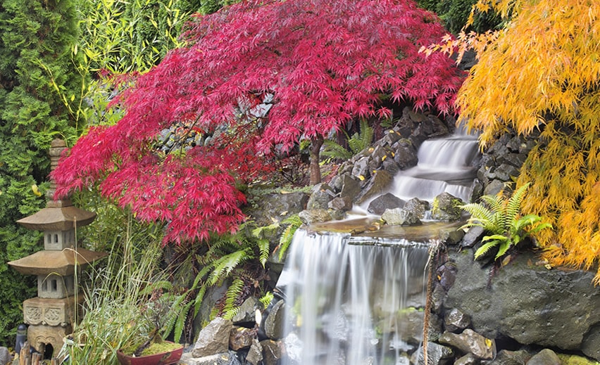 Beautiful waterfall in asian garden