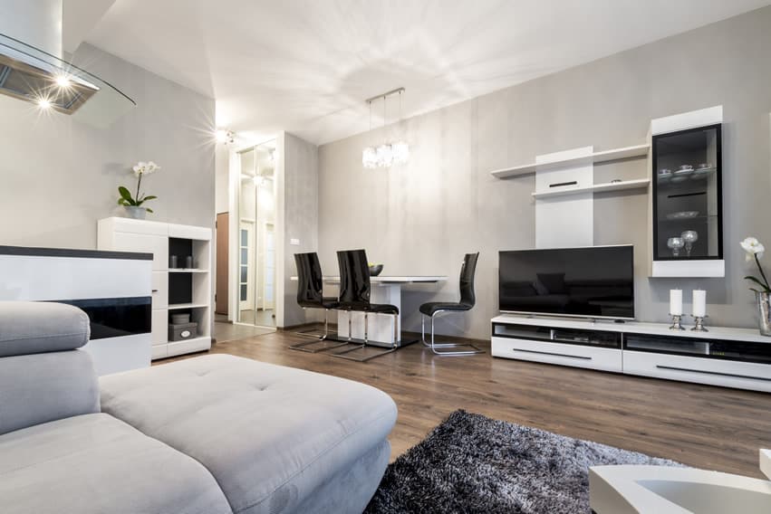 Black and white design living room with modern decor