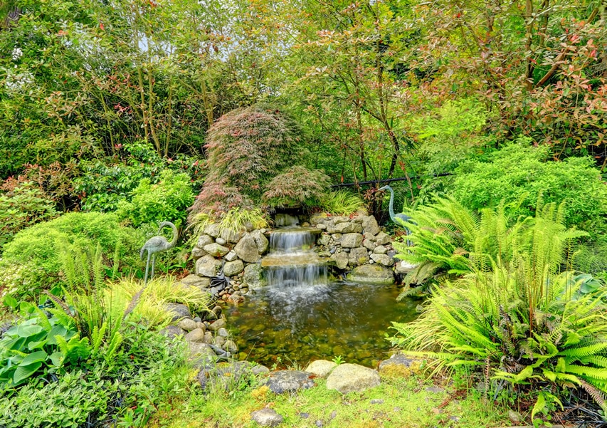 Exotic garden with waterfall pond and circularly placed rocks