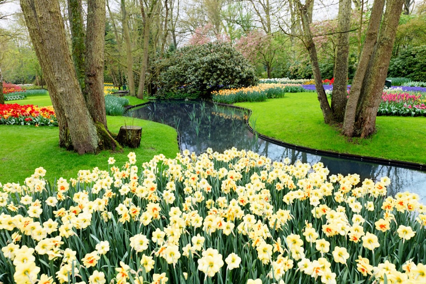 flower garden with winding river water feature