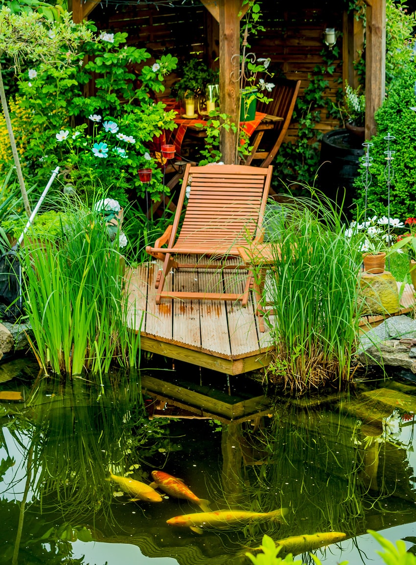 Garden koi fish pond with deck