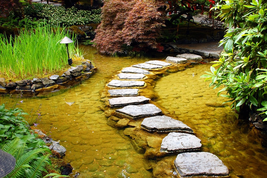 Garden path stepping stones over pond