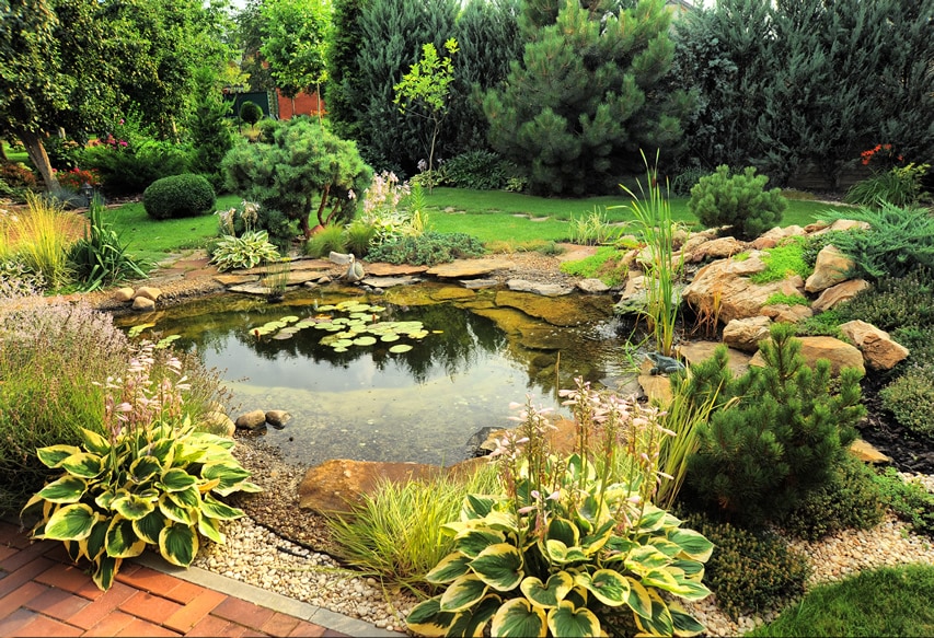 Garden pond in backyard with brick path