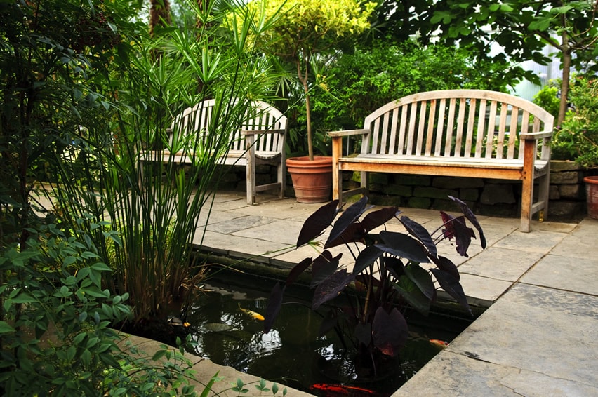 Koi pond in garden with sitting benches