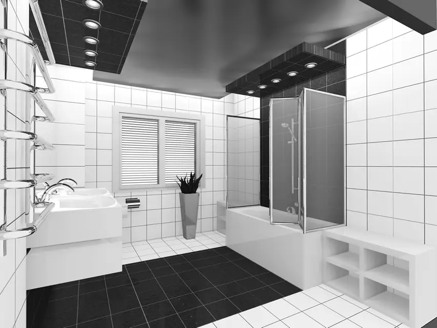 Bathroom with midnight black drop ceiling, chrome finish towel racks and dual ceramic sinks