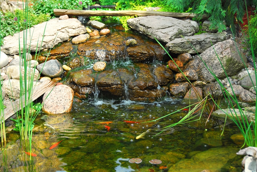 Natural design backyard with fish in pond