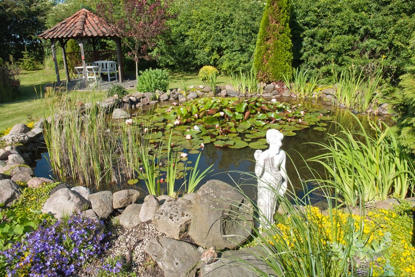 Natural garden with lily pad pond with gazebo