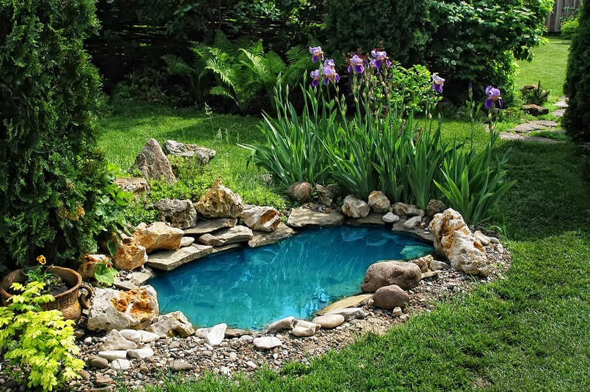 Pond in garden with clear blue water