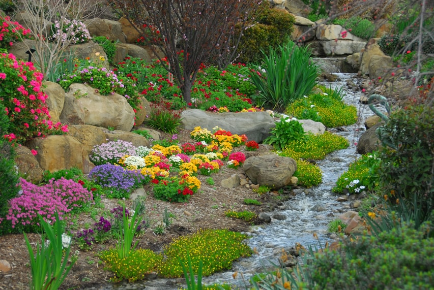 Rock garden with flowers and running water feature stream