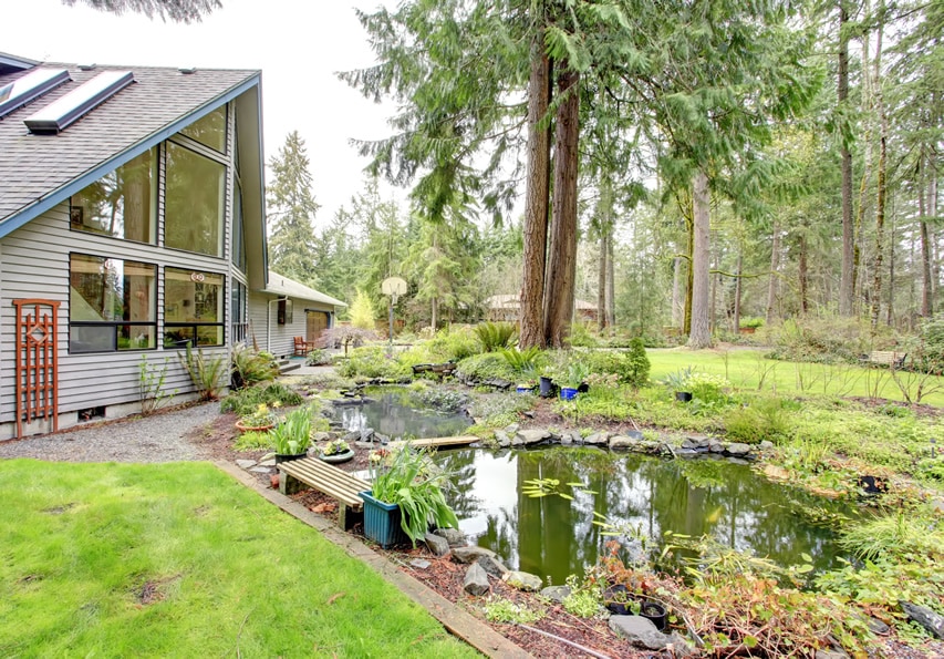 House with forest pond with garden bench