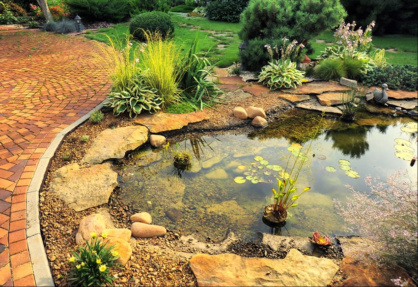 Small pond water feature in backyard garden with lily pads