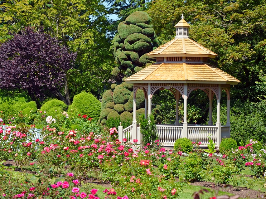 Gazebo with triple roof design surrounded by roses