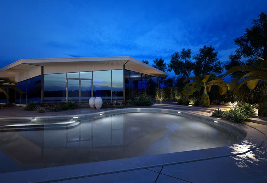 Irregular shaped pool with pin point lights and fringed palms