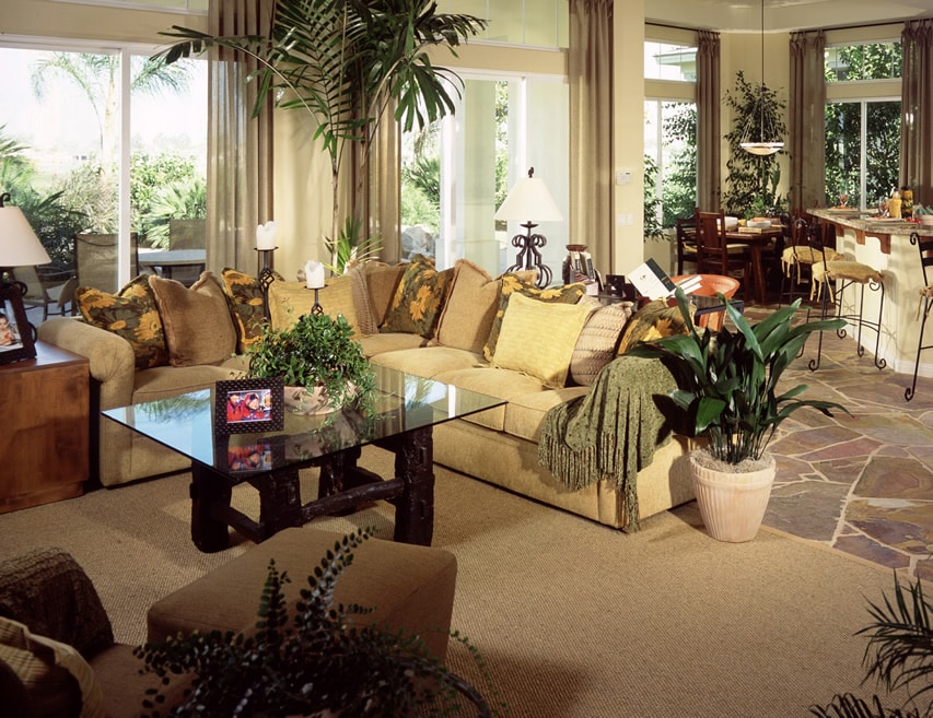 L-shaped sectional sofa, green throw rug and tropical plants
