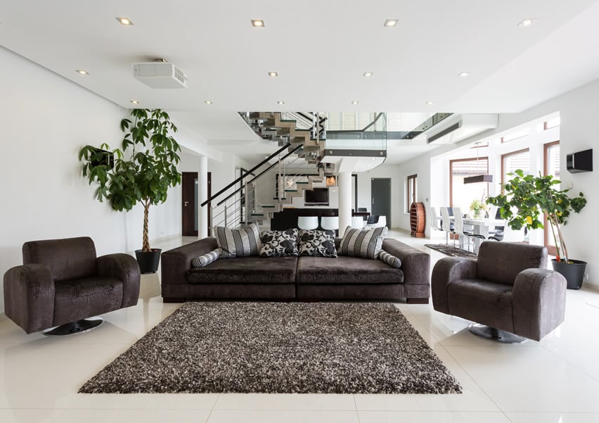 Room with dark brown chairs, high pile rug and stiped pillows