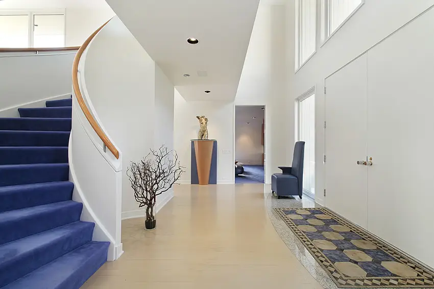 Foyer with blue area rug and staircase carpeting