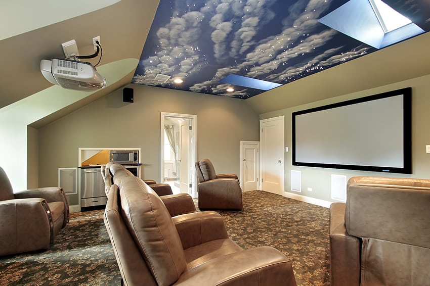Movie room with screen projector and ceiling mural