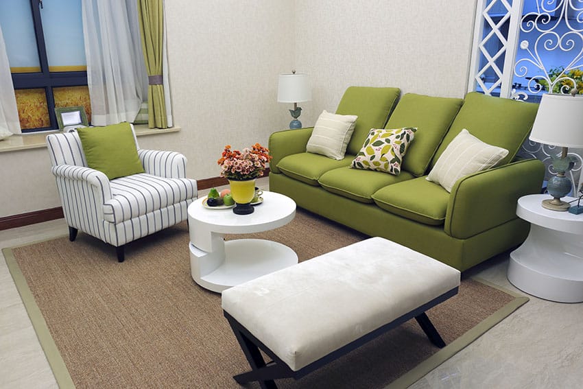 Small light color living room design