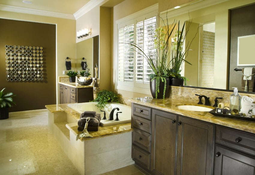 Olive green wall with decor and ornamental plants on counters