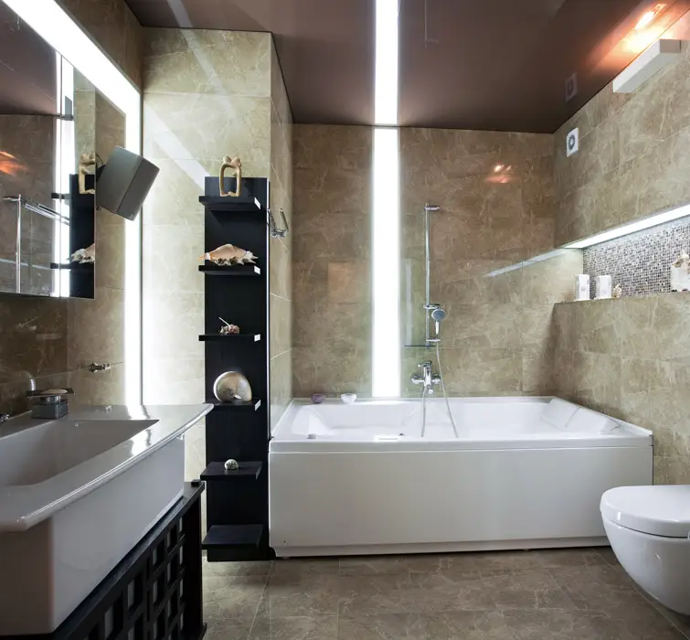 Modern upscale bathroom design
