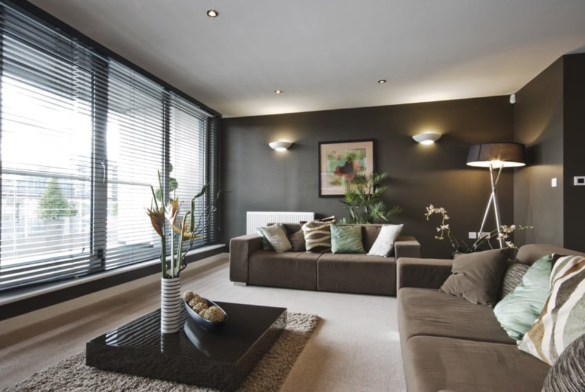 Brown painted living room with brown furniture