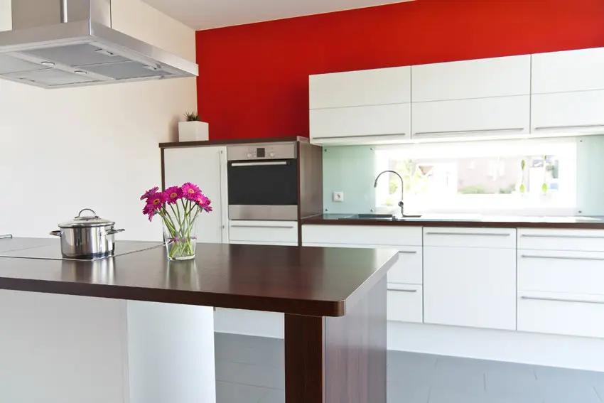 Minimalist modern kitchen with red walls