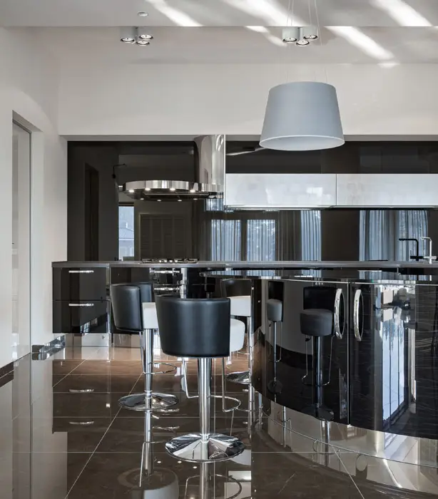 Ultra modern kitchen with polished black theme