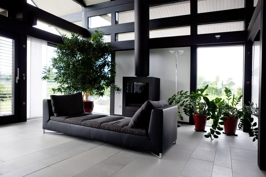 Black living room design with fireplace, high ceilings and indoor plants