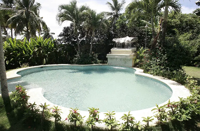 Custom kidney shaped pool with shallow entry