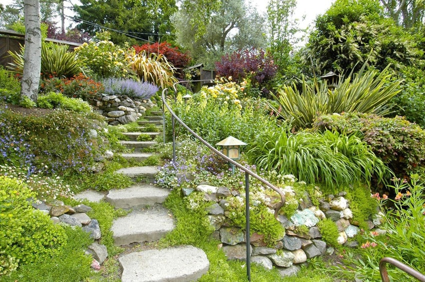 Limestone steps through garden
