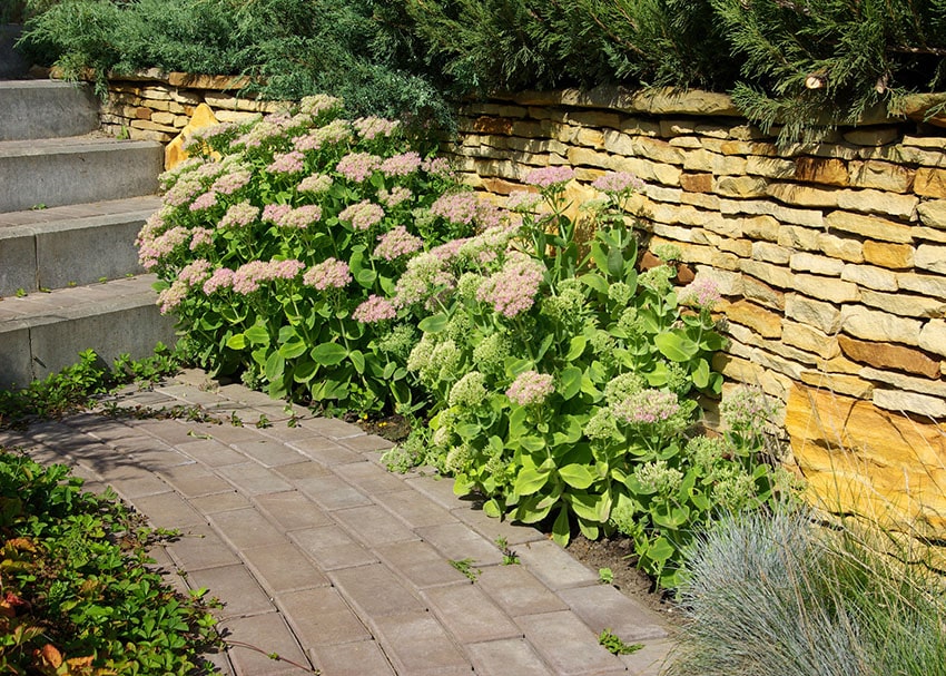 Red stone paver walkway past stacked stone wall
