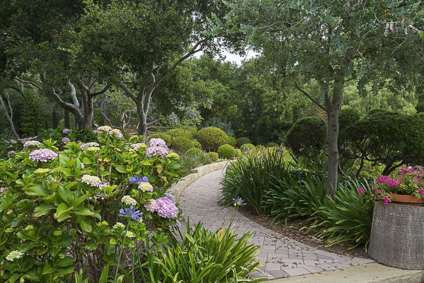 Paver walkway through garden with bushes and trees