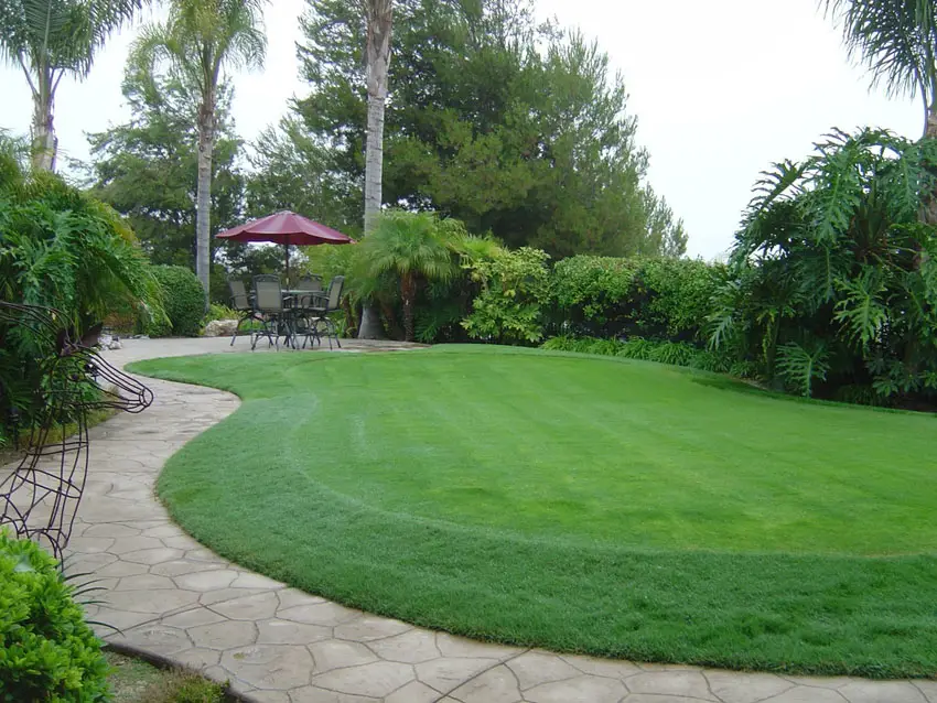 Stamped concrete walkway around curved lawn area