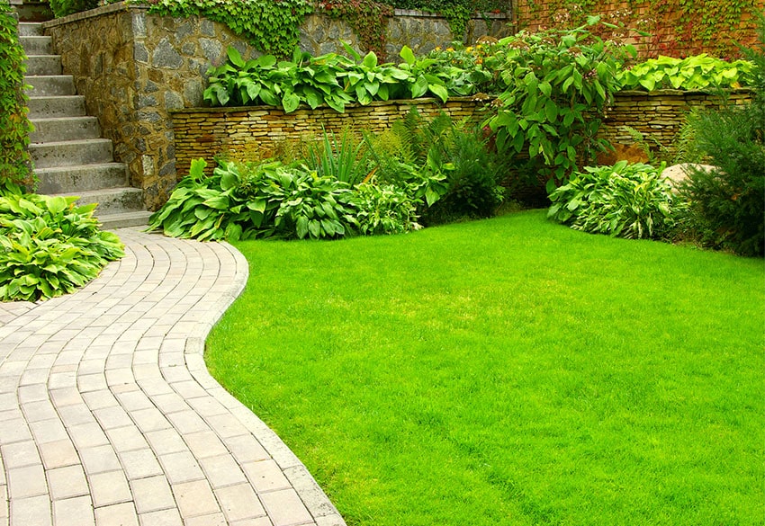 Curving paver walkway past lawn and leading to concrete steps to home