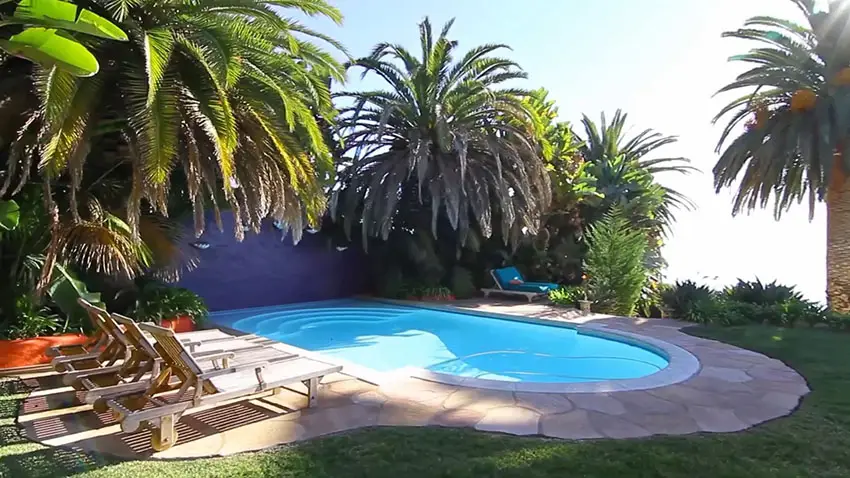 Oceanfront swimming pool with palm trees