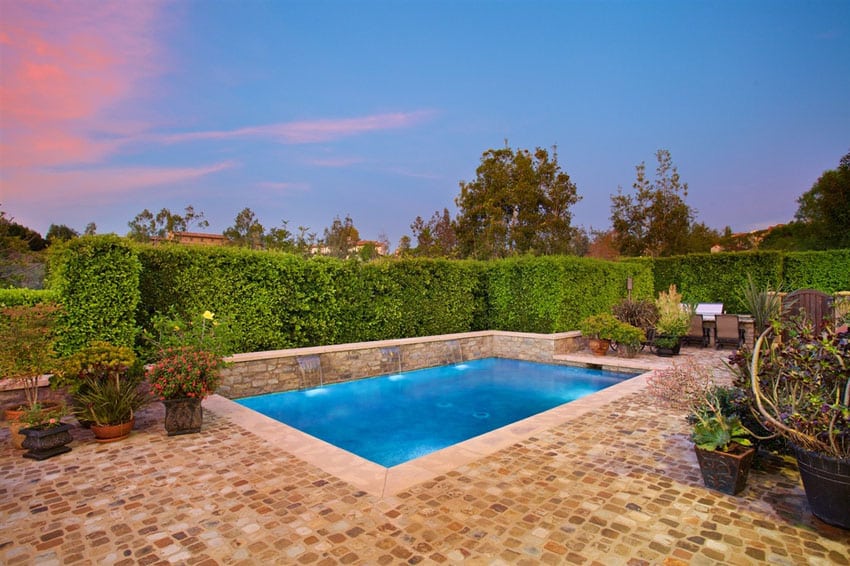 Swimming pool with water features and privacy hedge