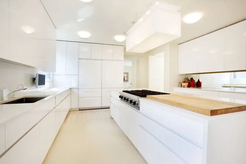 Kitchen with hidden fridge and butcher block countertop