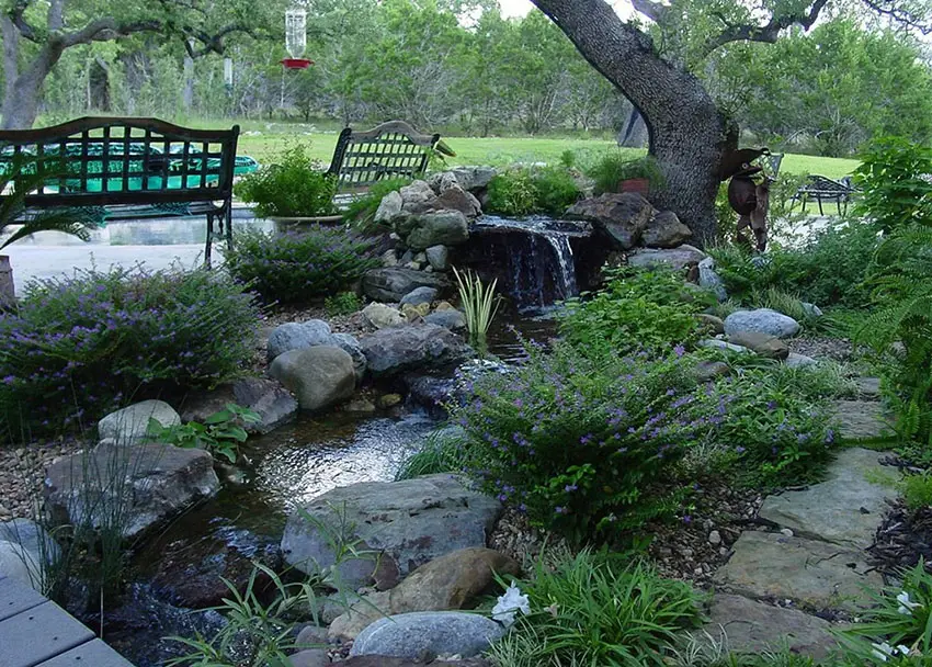 Backyard garden water feature river under tree and next to wood benches 