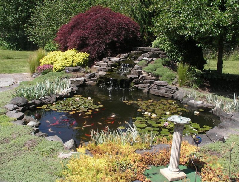 53 Backyard Garden Waterfalls (Pictures of Designs)