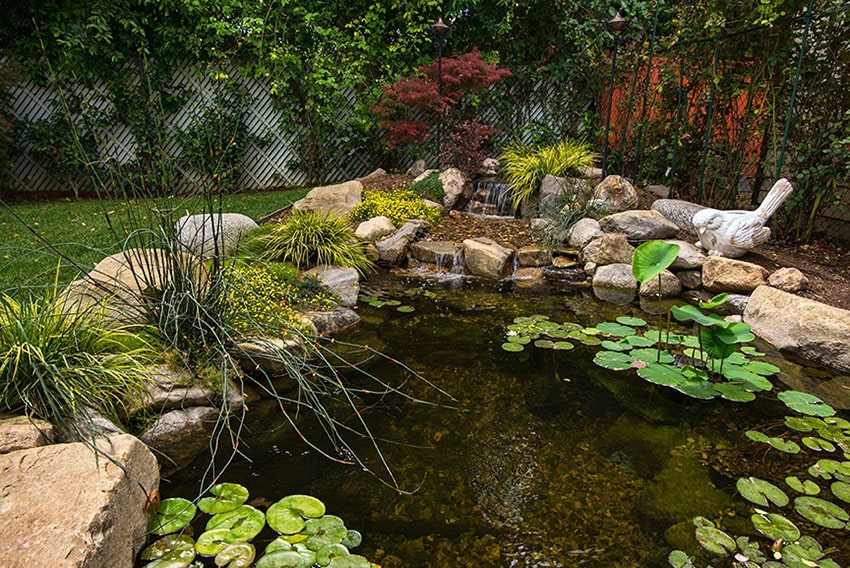 Small rock waterfall flowing in to garden pond with lily pads in backyard