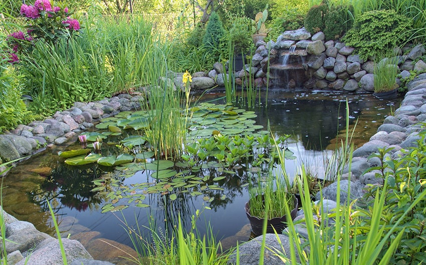 Ornamental pond with waterfall in garden