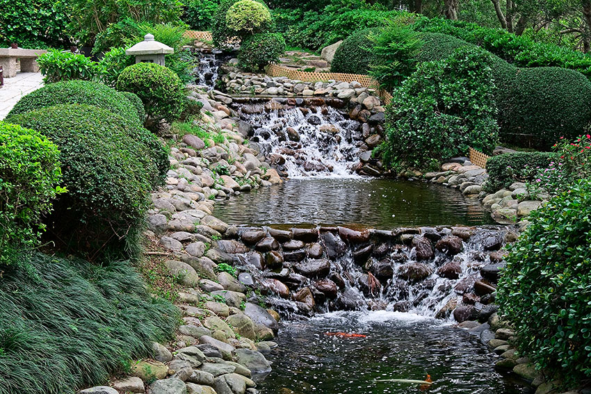 Waterfall and pond with goldfish in japanese garden